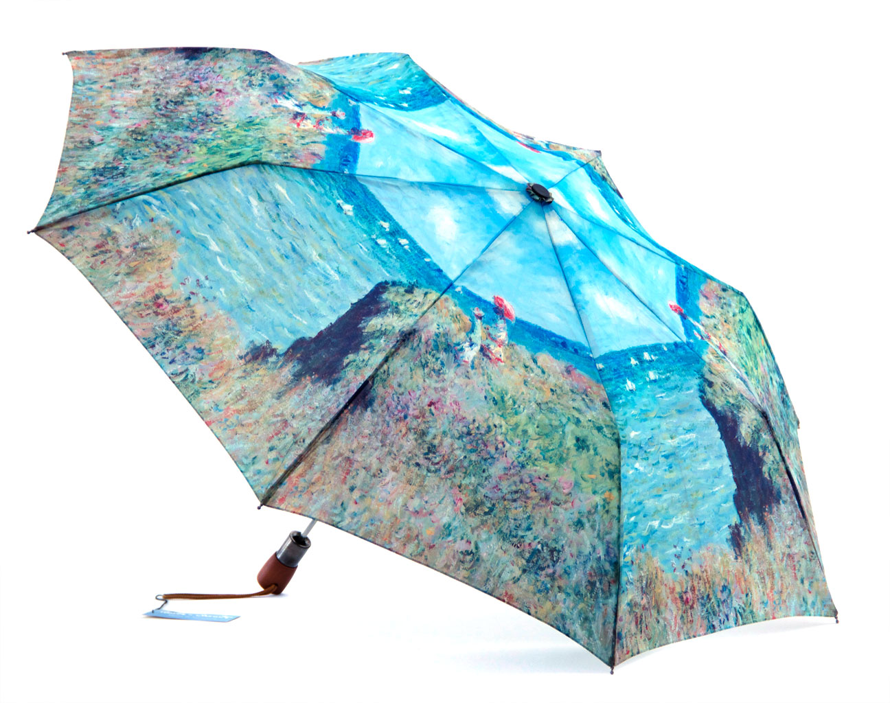 Money Woman in a cliff print umbrella