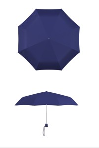 Compact frame navy umbrella