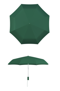 compact frame hunter green umbrella