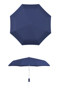 compact frame navy umbrella