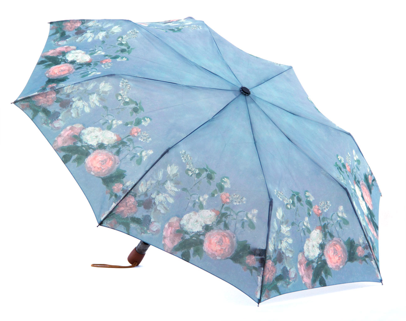 Umbrella, Auto Compact Umbrella